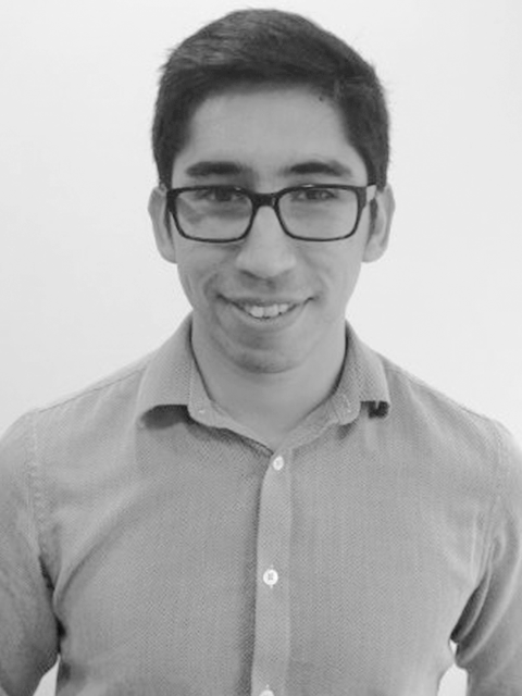 team member